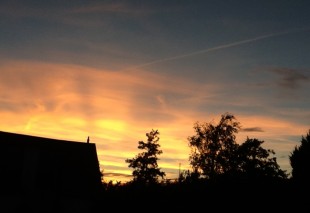 IMG_0828.JPG